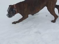 IMG_20240120_102929 (1024x768).jpg